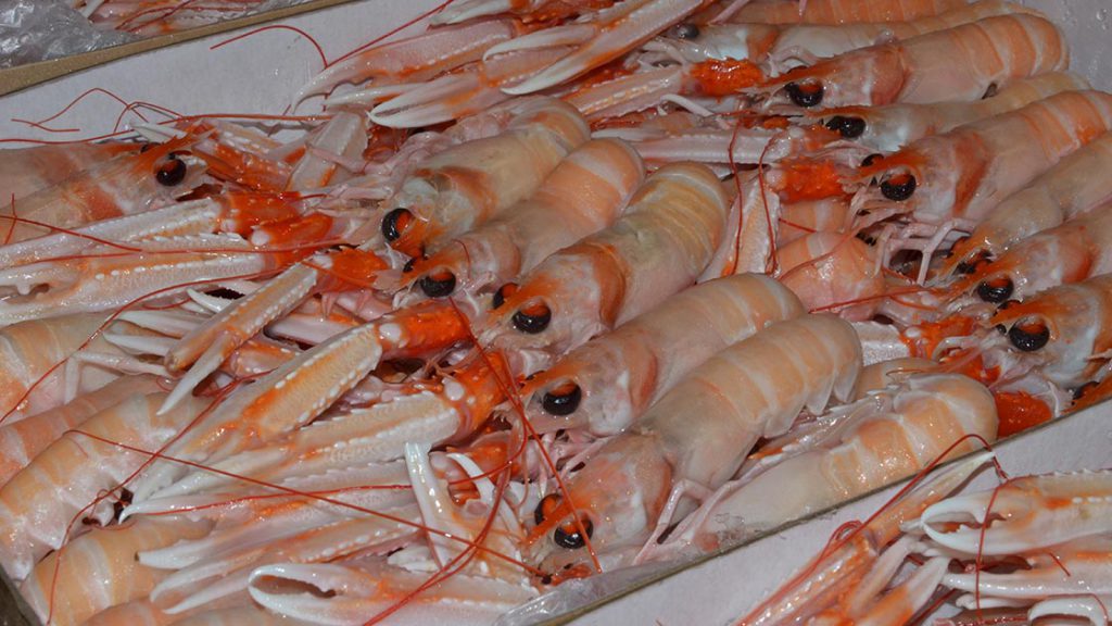 Il pesce surgelato evita sprechi ed essendo normalmente già pulito è