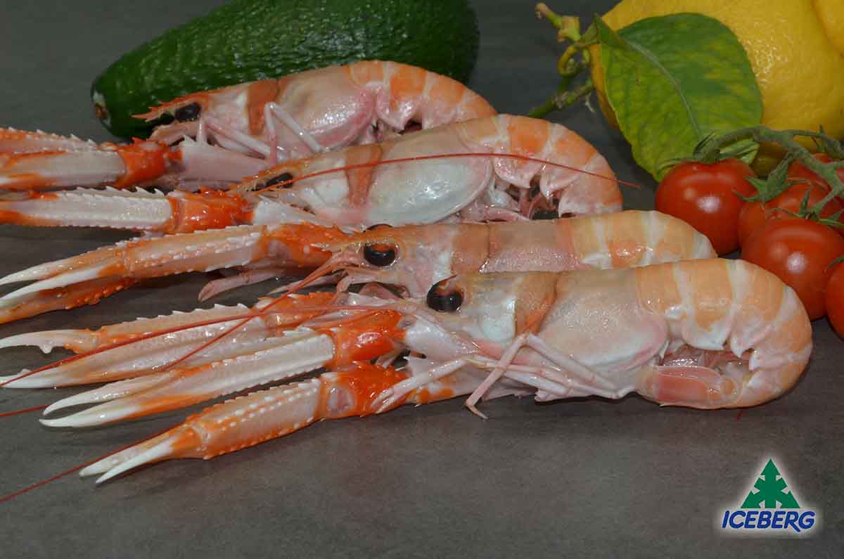 Scampi porcupine di Iceberg