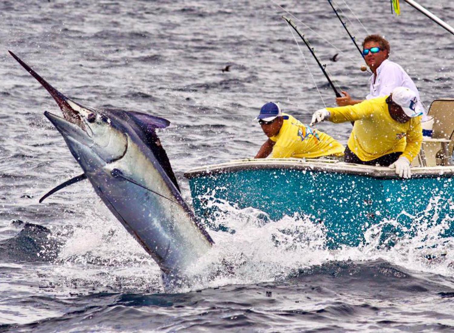 Combattimento in pesca al blu Marlin