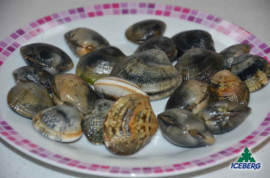 vongole veraci o caparossoli