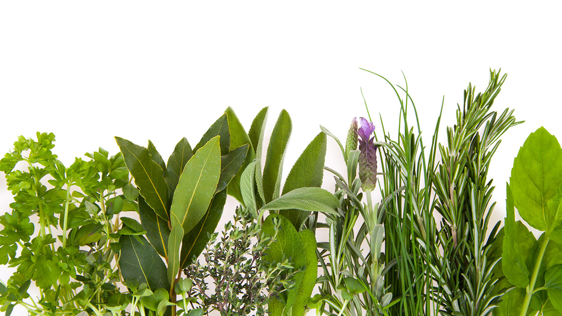 Erbe aromatiche