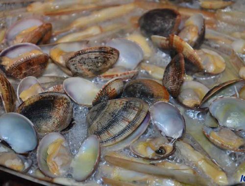 Le cappe della laguna: veraci, lunghe e tonde