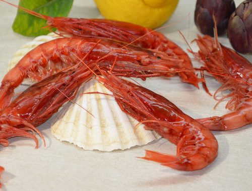 Gamberi rossi di Sicilia