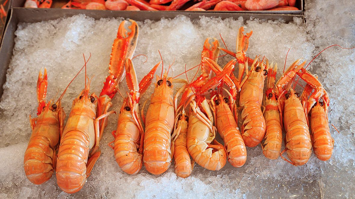 Scampi-gamberi-su-ghiaccio-appena-pescati