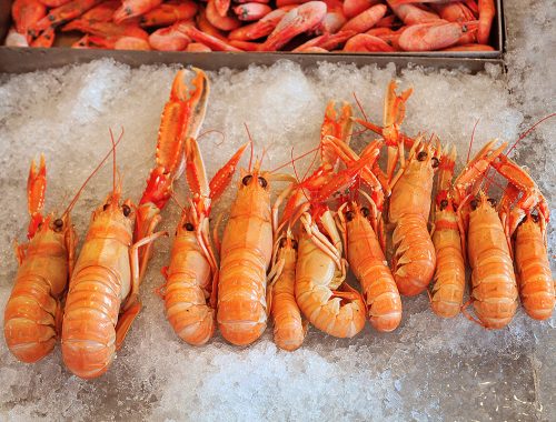 Scampi-gamberi-su-ghiaccio-appena-pescati
