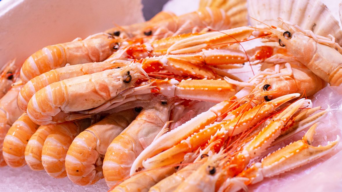 Scampi-Irlanda-freschi-a bordo