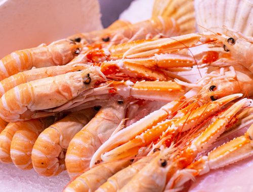 Scampi-Irlanda-freschi-a bordo